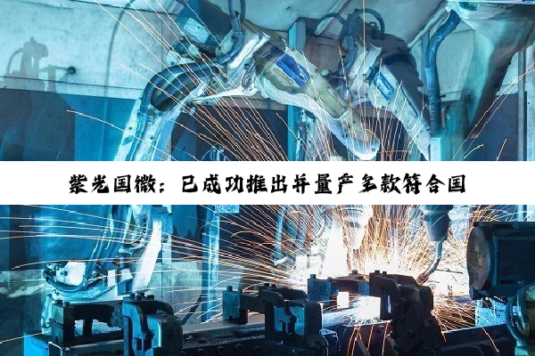 紫光国微：已成功推出并量产多款符合国内通信标准的 eSIM 产品